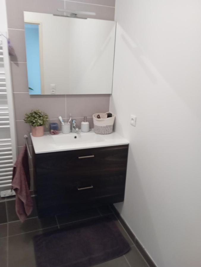 Chambre Nature Chez L'Habitant Страсбург Екстериор снимка