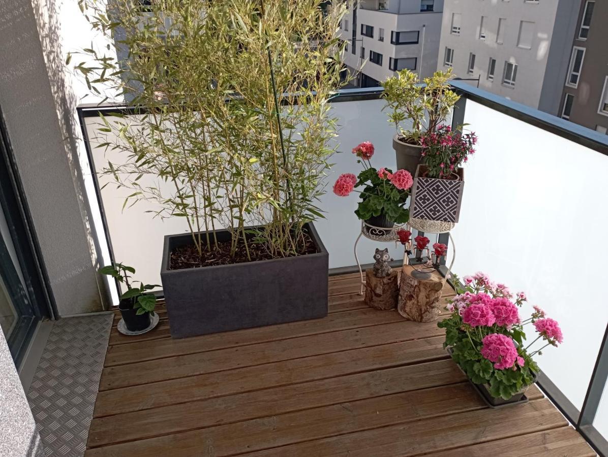 Chambre Nature Chez L'Habitant Страсбург Екстериор снимка